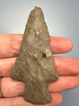 3 1/16" Chert Onondaga Chert Hopewell Point, Found in New York, Ancient Damage to one edge