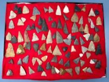 100+ Triangle Points, Jasper, Chert, Chalcedony Arrowheads, Longest is 2 1/4", NJ