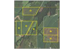 Tract 1 - 82.33 Acres