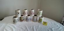 GERMAN STEIN/MUG SET OF 9