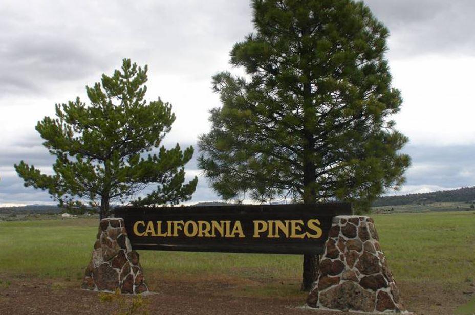 California Aprox 1 Acre Modoc County Great Recreational Land Investment with Low Monthly Payments!