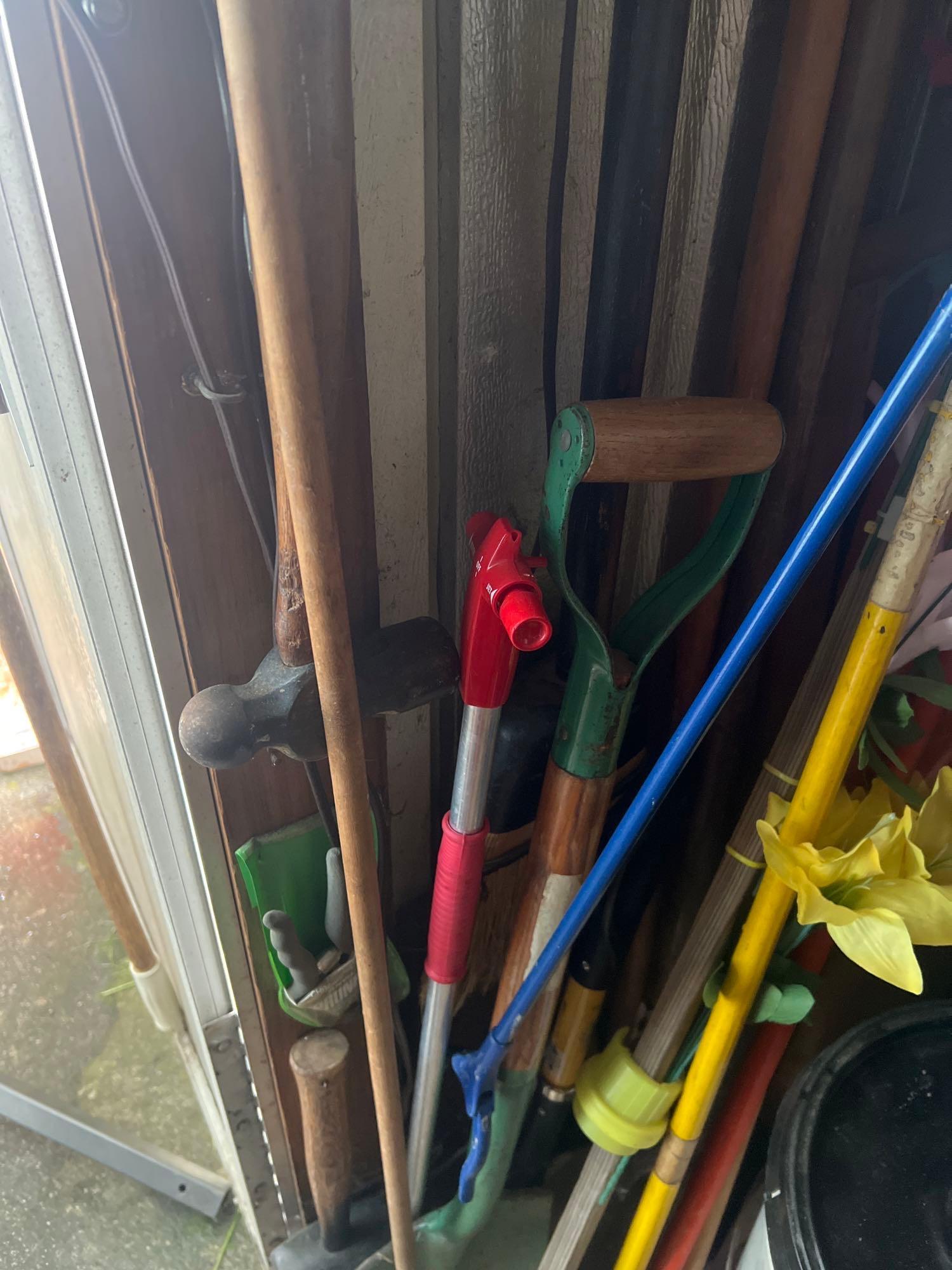 Contents of shelves in shed