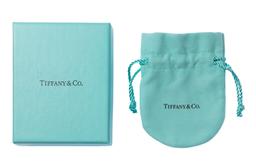 Tiffany & Co Platinum and Diamond Hinged Bangle Bracelet