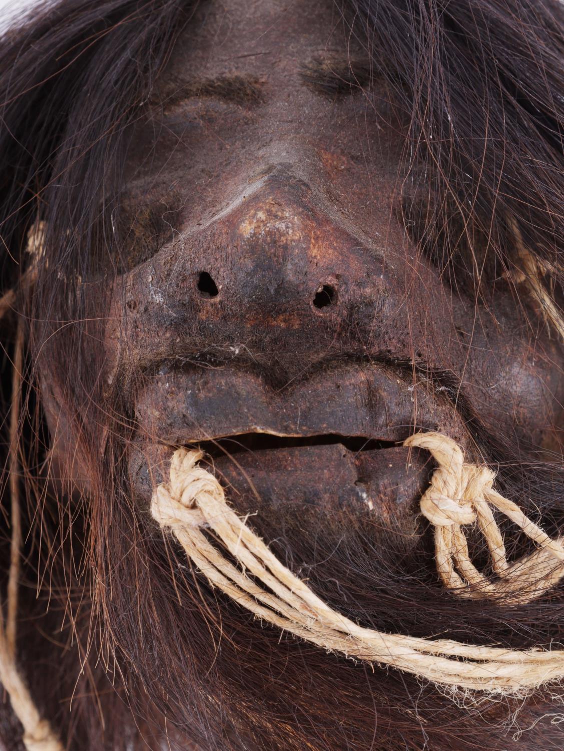 ANTIQUE SHRUNKEN HEAD ODDITY MUSEUM