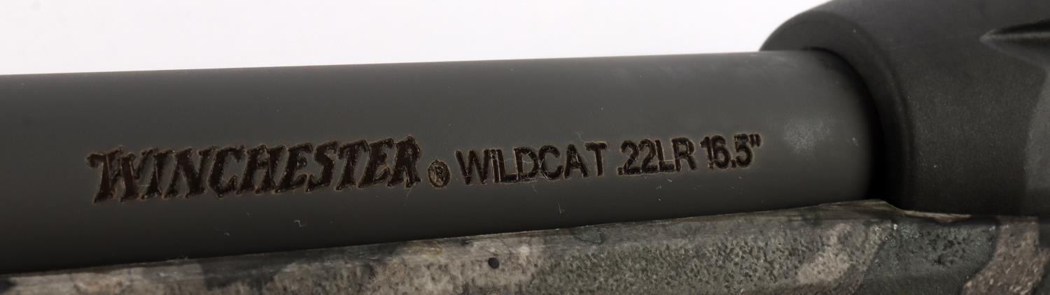 WINCHESTER WILDCAT .22LR SEMI AUTO THREADED RIFLE