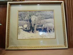 LARGE Decorative Wild Life Picture in Frame