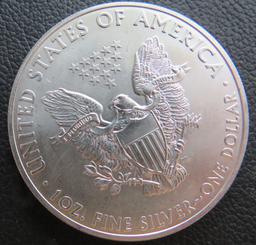 2013- American Eagle Silver Dollar