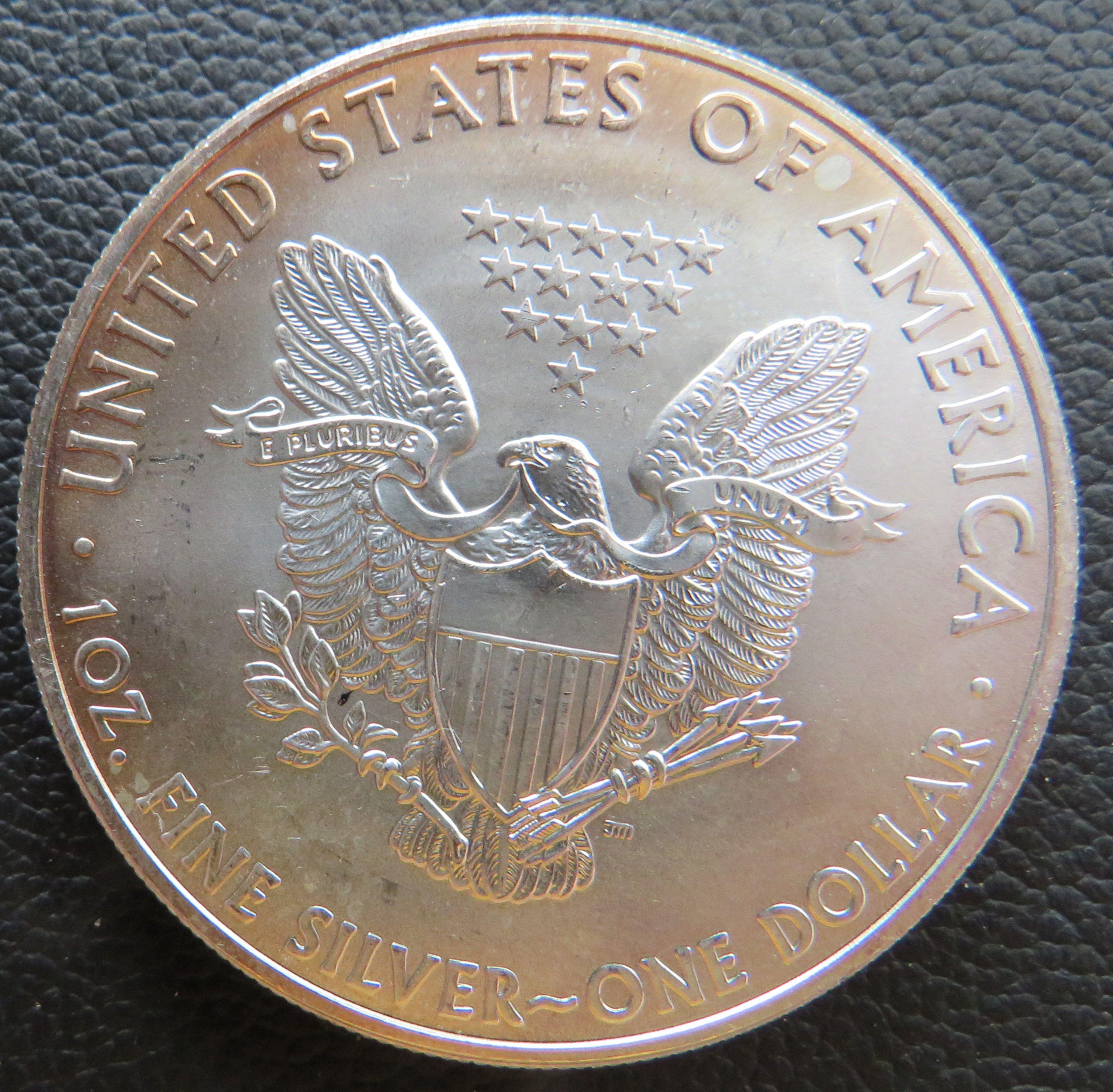 2013- American Eagle Silver Dollar