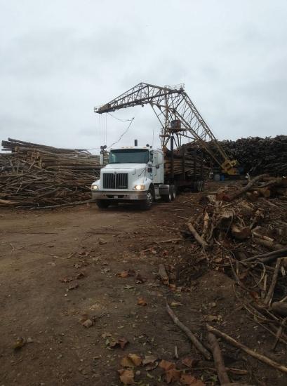 CAPITAL VENEER WORKS & AMERICAN WOOD FIBRE, INC