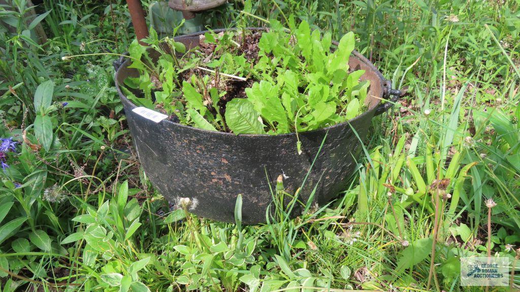 Cast iron cauldron