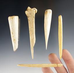 Set of 5 Bone Awls & Tools - Glovers Cave, Christian Co., Kentucky. Ex. Raymond Vietzen.