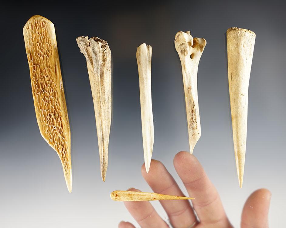 Set of 6 Bone Awls found at Glovers Cave, Christian Co., Kentucky. Ex. Raymond Vietzen.