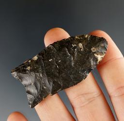 2 1/4" Paleo Fluted Clovis found in Richland Co., Ohio by Doug Hooks.