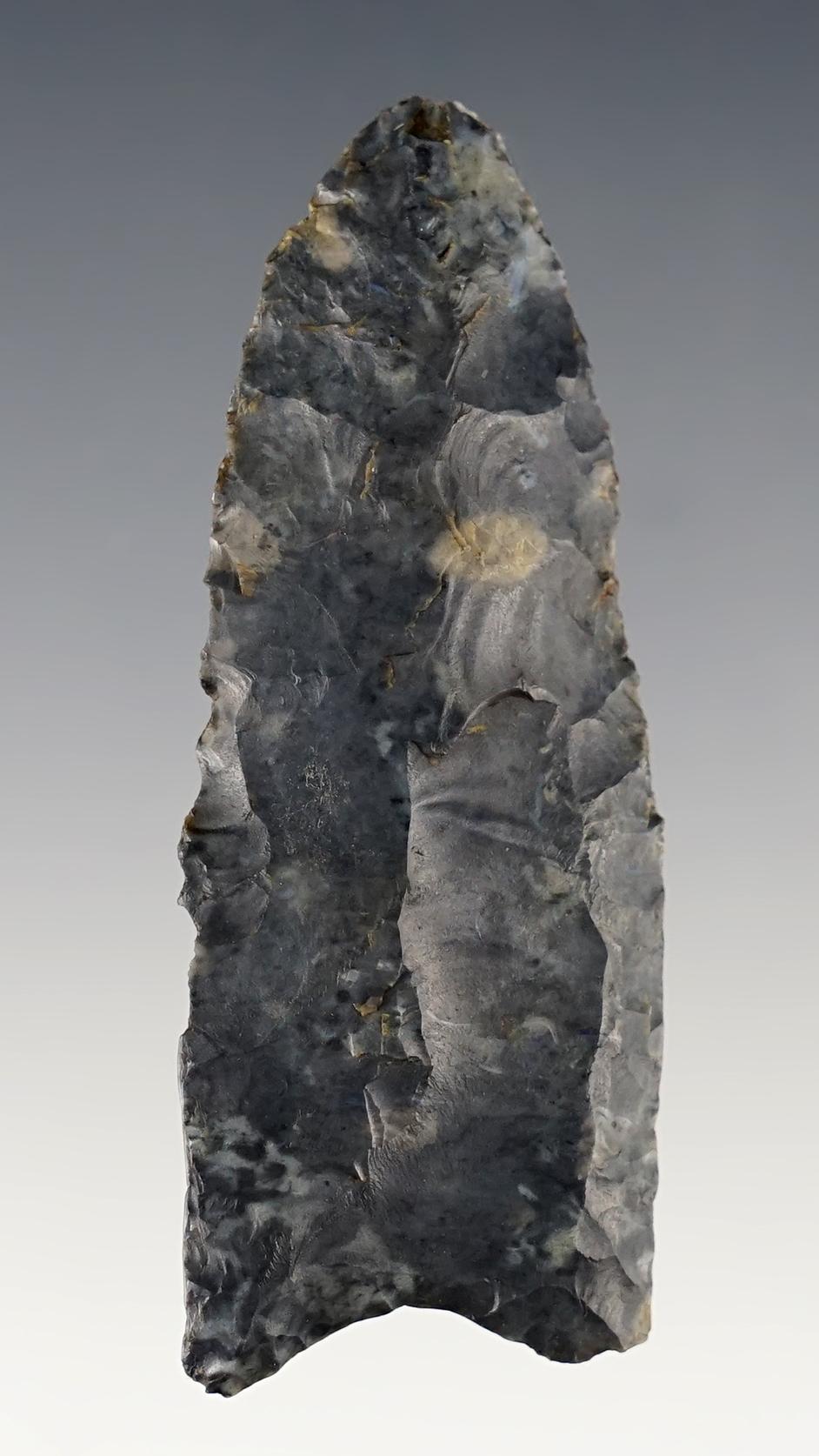 2 5/8" Fluted Paleo Clovis - Licking Co., Ohio. Classic style. Comes with a Dickey COA.