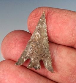 Excellent flaking on this 1 3/16" Columbia Plateau.  Found by Norma Berg in Washington. COO.