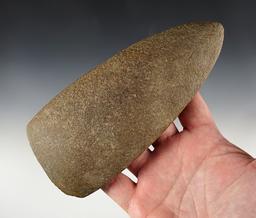 Large 6 15/16" Hardstone Adze found near Mongo, LaGrange Co., Indiana.