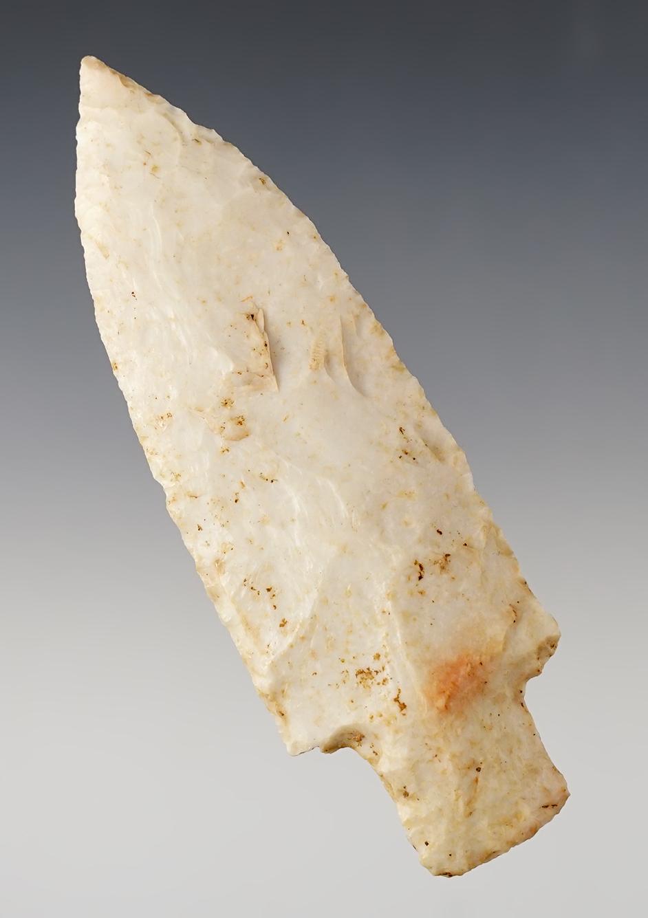 4 1/4" long Etley with nice mineral deposits on the surface. Found in Greene Co., Illinois. COA.