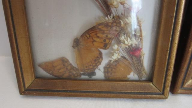 Three Vintage Framed Convex Glass Taxidermy Butterflies