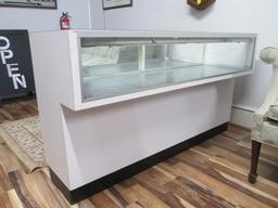 Illuminated Store Locking Display Case