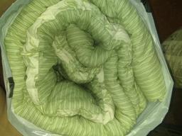 BL-Green Stripe and Floral Comforter