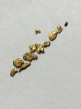 Gold Nuggets Alaskan Top End Yellow 20 Kt+ .10 Grams Nice