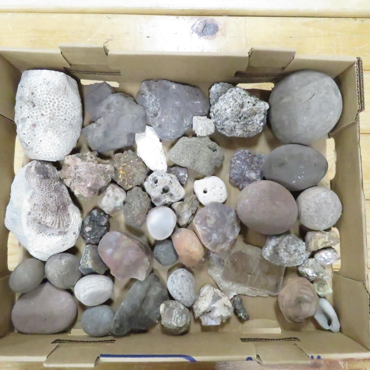 20 pounds mixed rocks, fossils, minerals