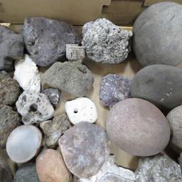 20 pounds mixed rocks, fossils, minerals