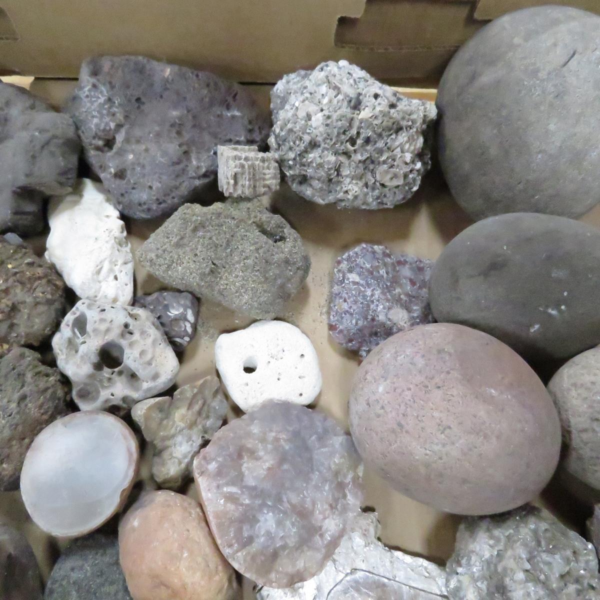 20 pounds mixed rocks, fossils, minerals