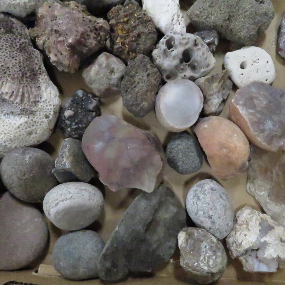 20 pounds mixed rocks, fossils, minerals