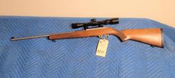 Ruger Model 10-22 stainless 22LR with BARSKA scope