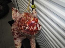 Hog Carcass Halloween Prop ( Stand Not Included )