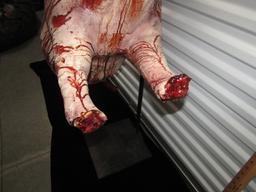 Hog Carcass Halloween Prop ( Stand Not Included )