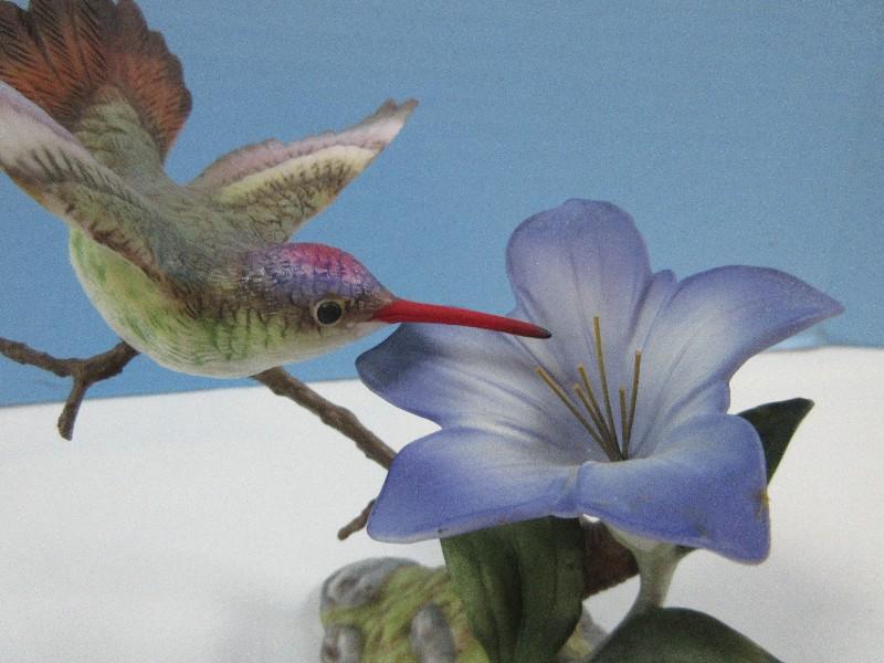 Maruri USA Fine Porcelain & Bronze Studio Design Violet-Crowned Hummingbird w/Gentian