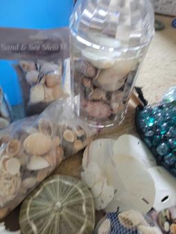 Assorted Sea Shells $1 STS