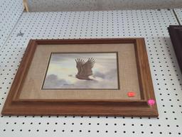 Framed Print of an Eagle Soaring Above the Clouds, Approximate Dimensions - 19" x 14", What You See