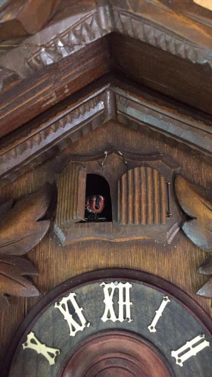 VINTAGE GERMAN DOUBLE CUCKOO CLOCK