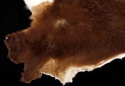 Tanned Hereford Cow Hide Rug