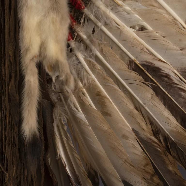 Lakota Sioux John Young Buck Feather Headdress