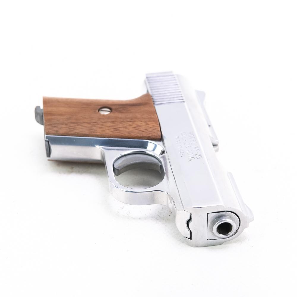 Raven MP-25 25acp Pistol 862153