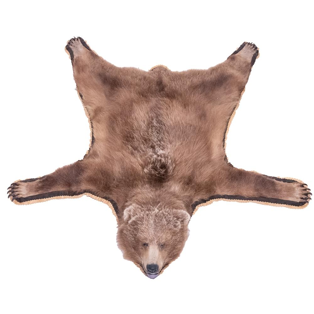 Kodiak Bear Rug Taxidermy