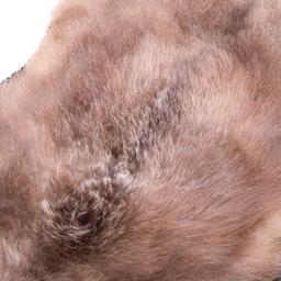 Kodiak Bear Rug Taxidermy