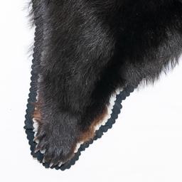 Black Bear Rug Taxidermy