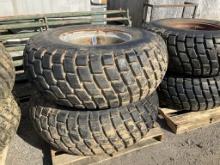 (533)16.9 X 24 TURF TIRES/RIMS