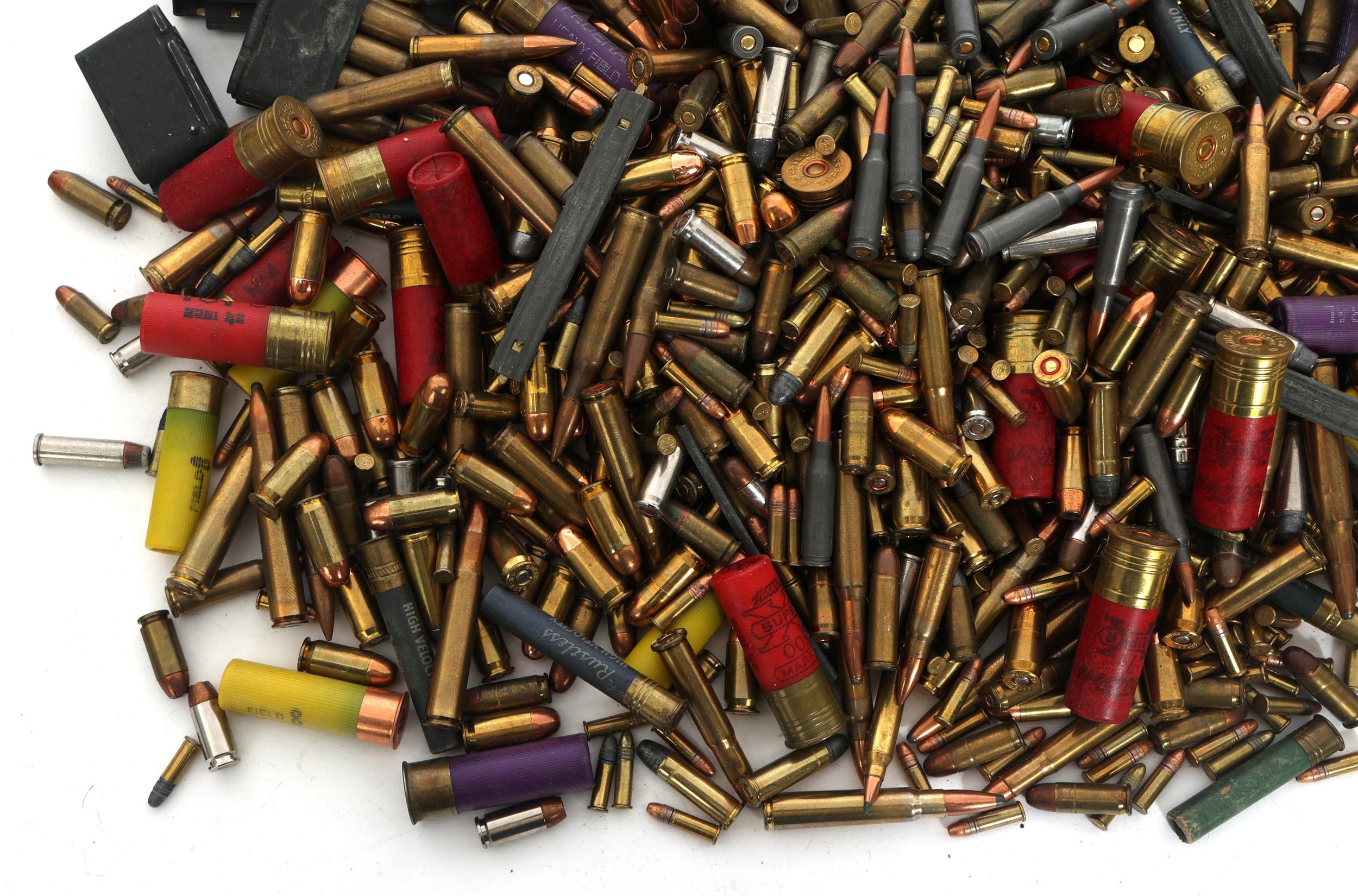 HANDGUN & LONG GUN AMMUNITION - 28 POUNDS TGW