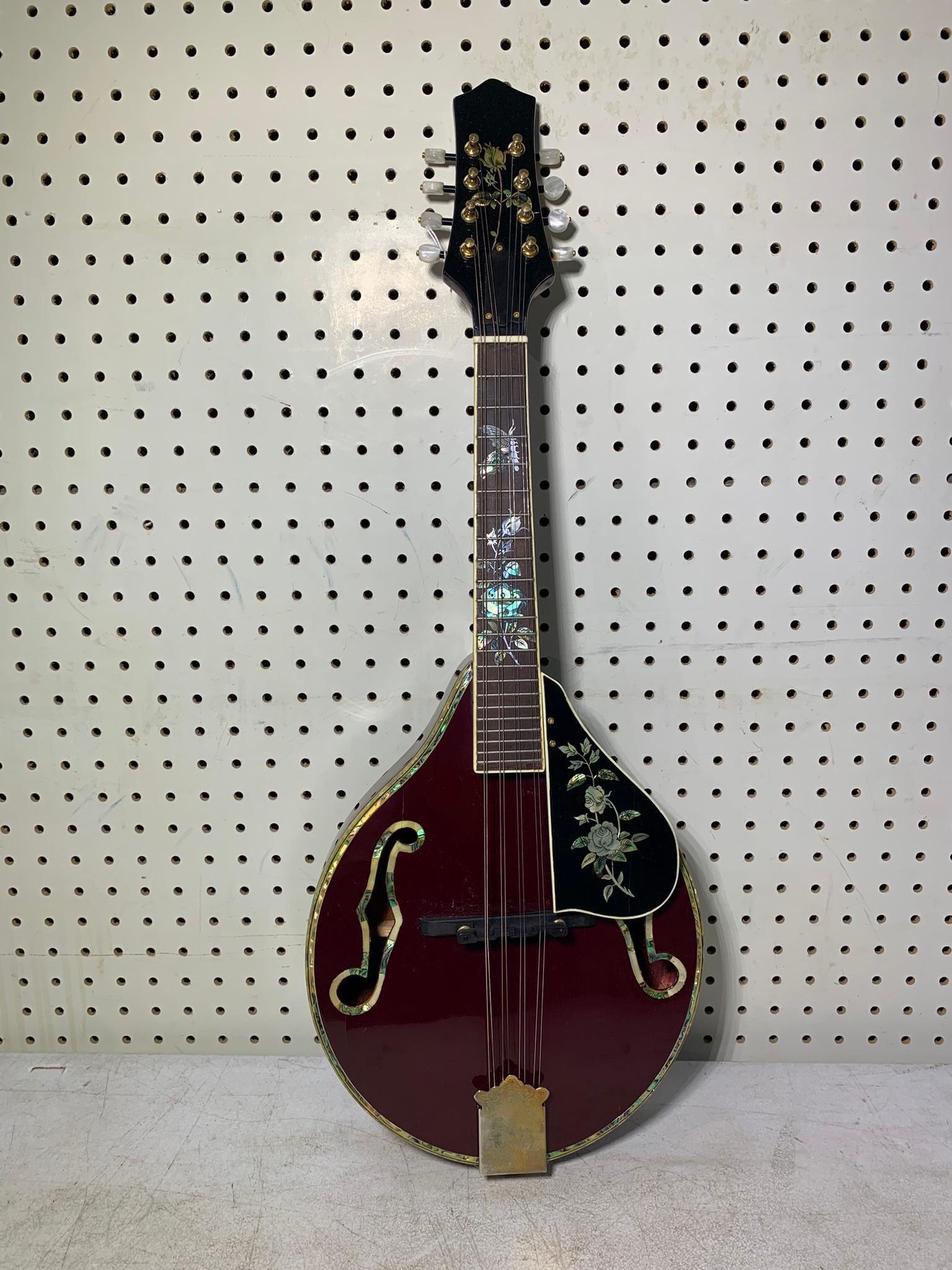 Aria Am600 Mandolin with Case