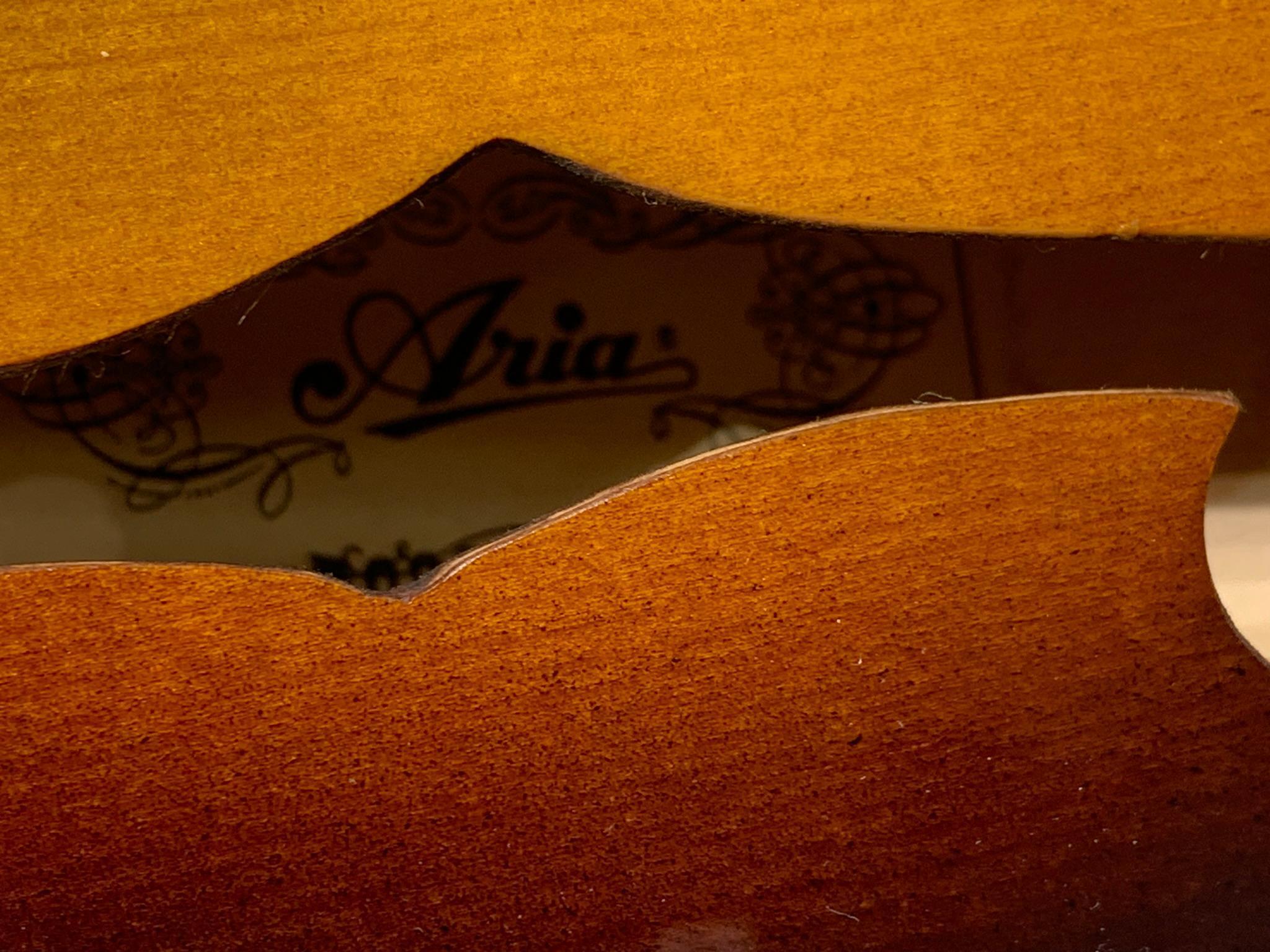 Aria Mandolin with Case