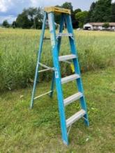 Werner 6 Ft Fiberglass Ladder