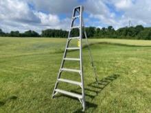 F.R. Stokes Aluminum Orchard Ladder 9ft