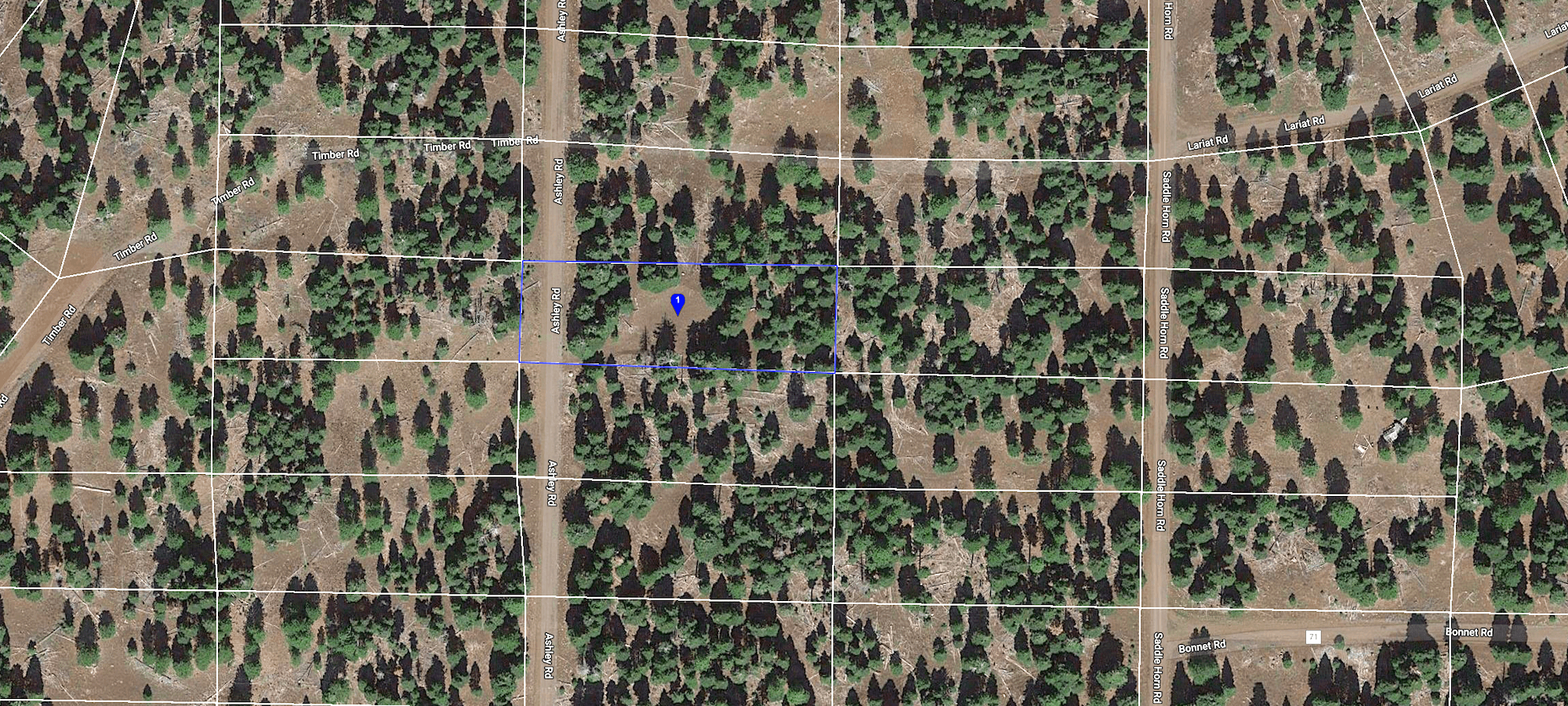 Build Your Sanctuary in the Peaceful Pine Woods of Modoc County, California!