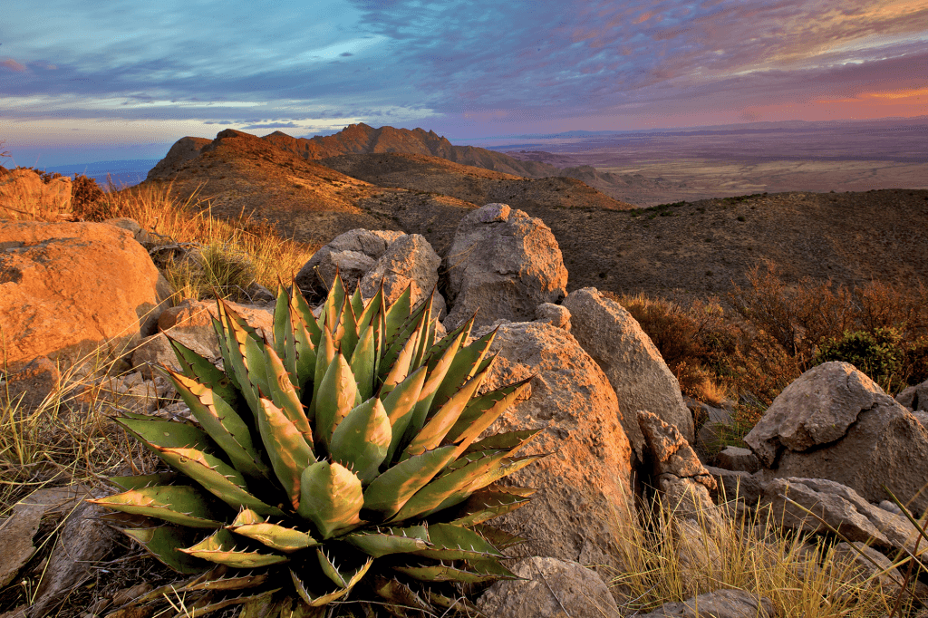 Secure Your Acre Lot in Luna County, New Mexico!